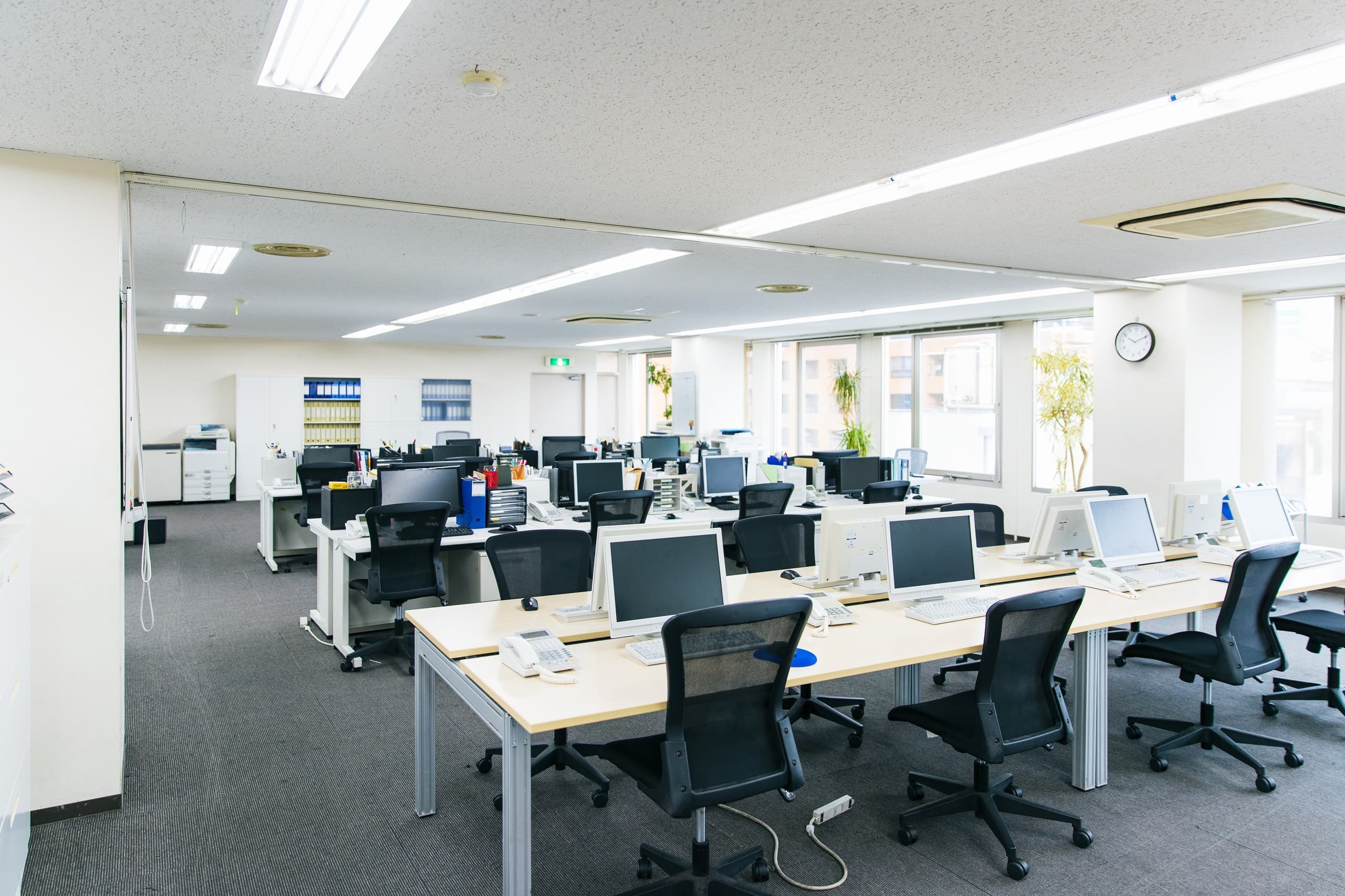 pxt00005070290803.jpg