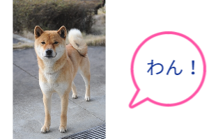 わんわん